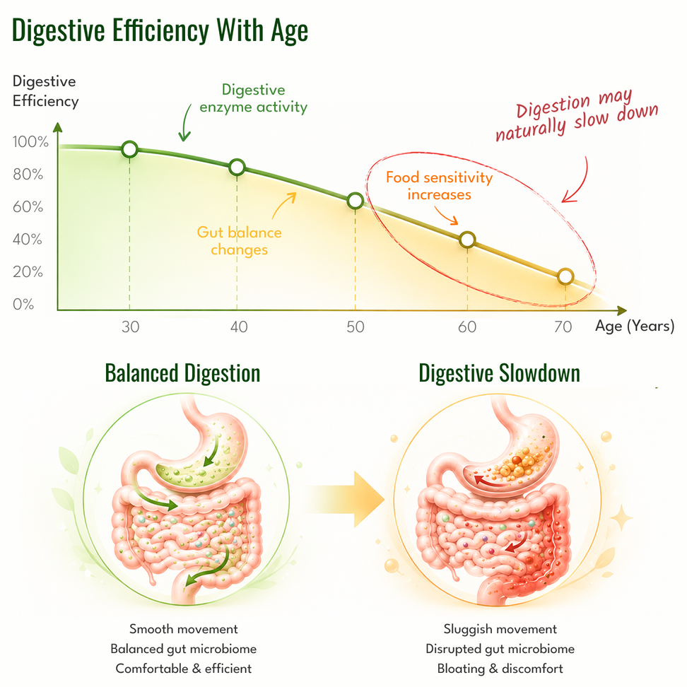 #1: Helps Support Digestion As You Age