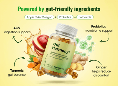 Gut Harmony Gummies - LUMWAY