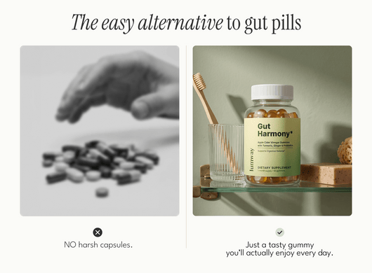 Gut Harmony Gummies - LUMWAY